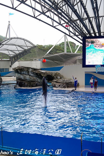 201504遠雄海洋公園海豚60.jpg