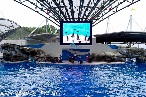 201504遠雄海洋公園海豚62.jpg