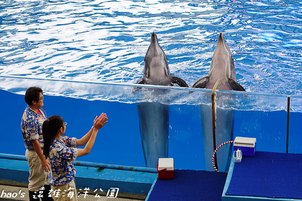 201504遠雄海洋公園海豚69.jpg