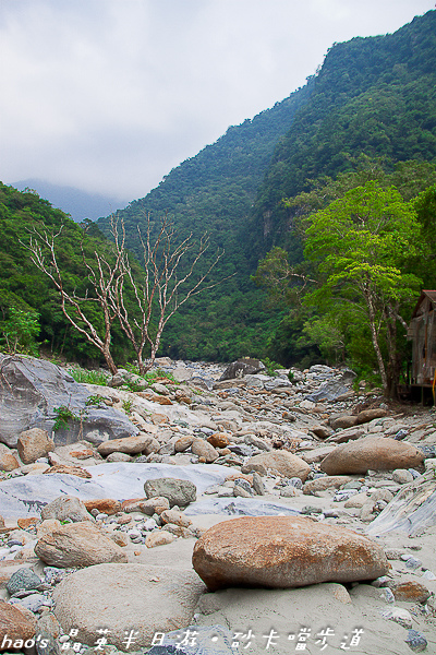 201410晶英半日遊058.jpg