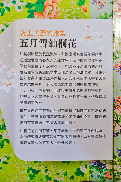 201511 五月雪 014.jpg