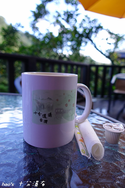 201602十分瀑布084.jpg