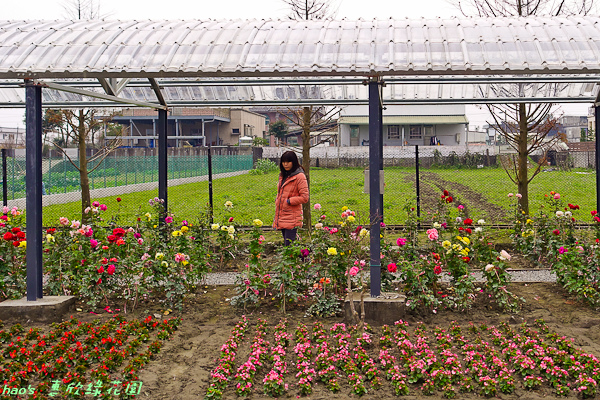 201602惠欣綠花園023.jpg