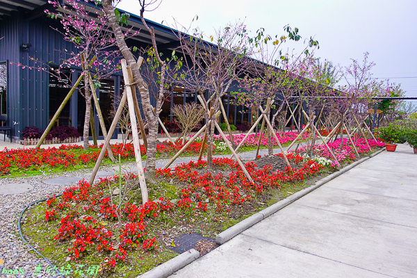 201602惠欣綠花園030.jpg