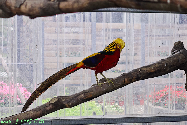 201602惠欣綠花園037.jpg