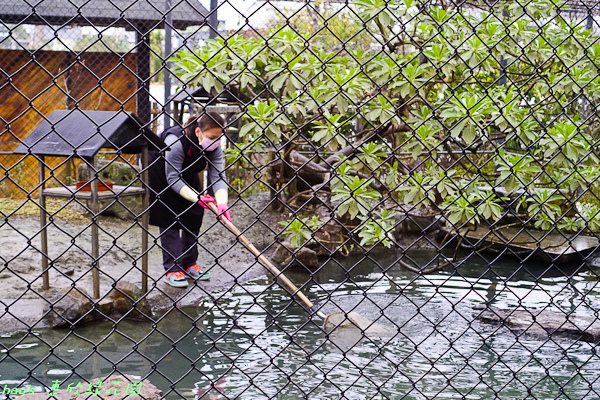 201602惠欣綠花園193.jpg