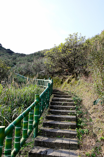 201603無耳茶壺山步道008.jpg