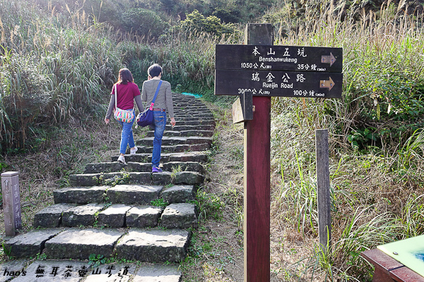 201603無耳茶壺山步道020.jpg