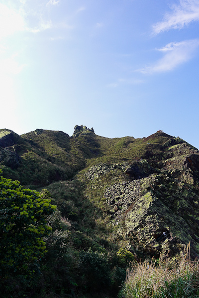 201603無耳茶壺山步道023.jpg