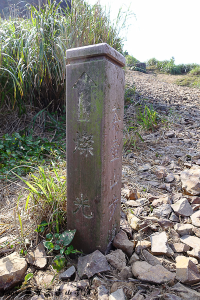 201603無耳茶壺山步道055.jpg