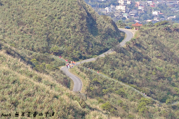 201603無耳茶壺山步道063.jpg