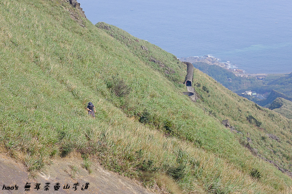 201603無耳茶壺山步道065.jpg