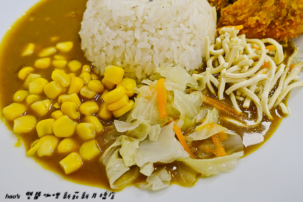 201605雙醬咖哩032.jpg