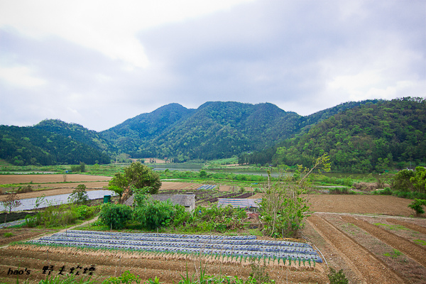 201604野夫炊煙012.jpg