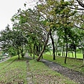 201604河濱公園023.jpg