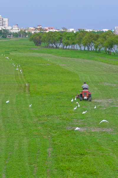 201604梅津棧道016.jpg