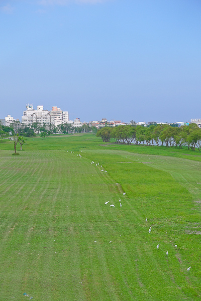 201604梅津棧道015.jpg