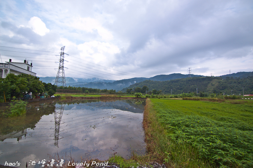 201609池塘邊邊121.jpg