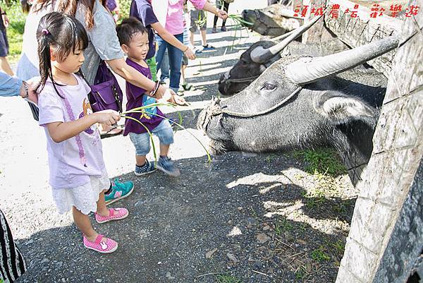 201610頭城農場146.jpg