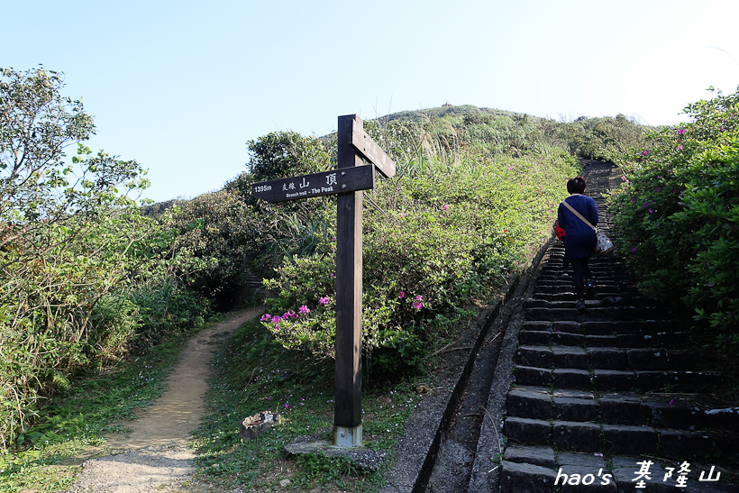 201704基隆山009.jpg