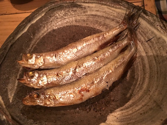 IMG_3495.JPG IMG_3495.JPG