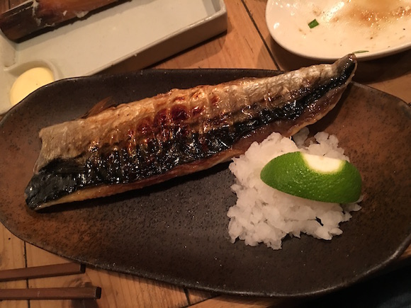 IMG_3504.JPG IMG_3504.JPG