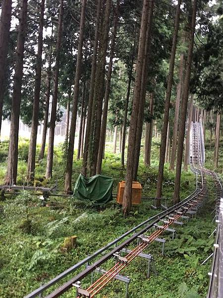 IMG_8193.jpg IMG_8193.jpg