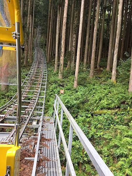 IMG_8197.jpg IMG_8197.jpg