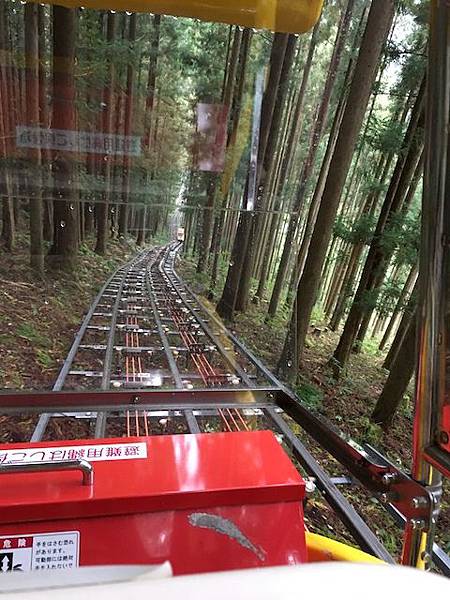 IMG_8205.jpg IMG_8205.jpg