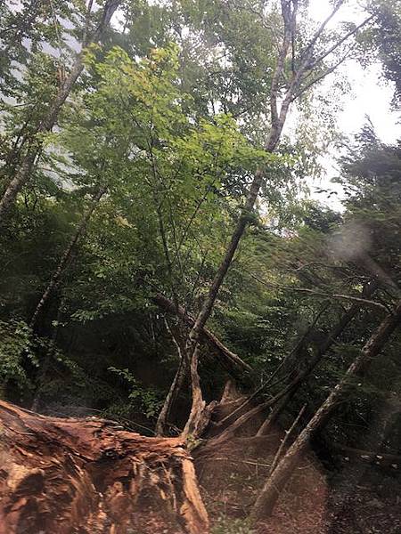 IMG_8210.jpg IMG_8210.jpg