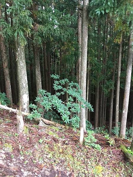 IMG_8213.jpg IMG_8213.jpg