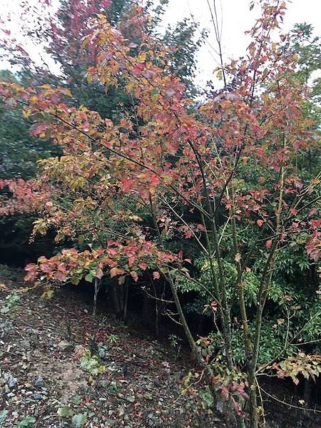 IMG_8216.jpg IMG_8216.jpg