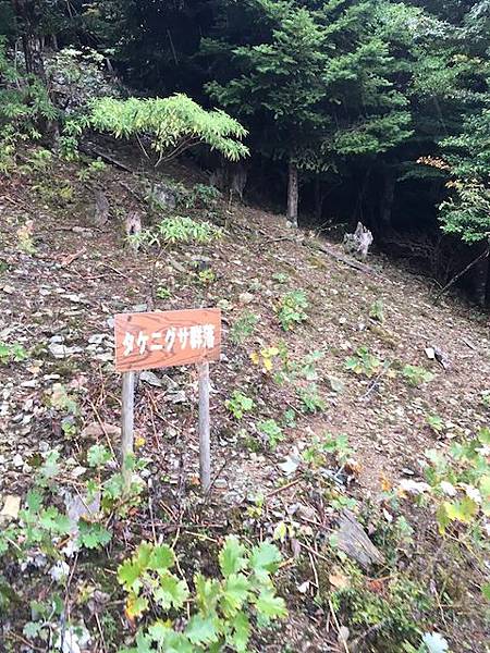 IMG_8217.jpg IMG_8217.jpg