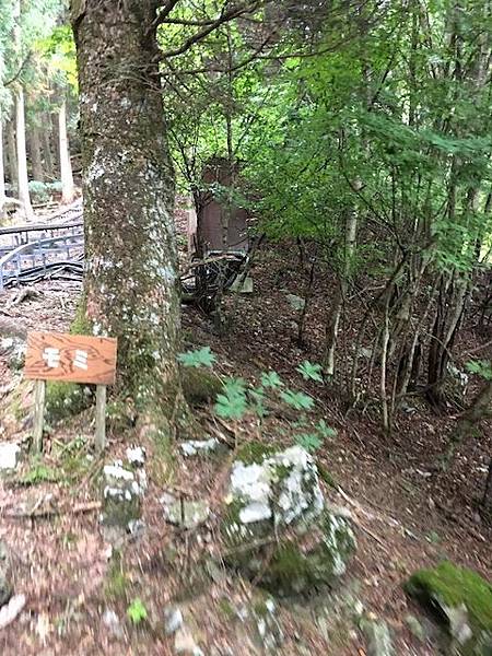 IMG_8219.jpg IMG_8219.jpg