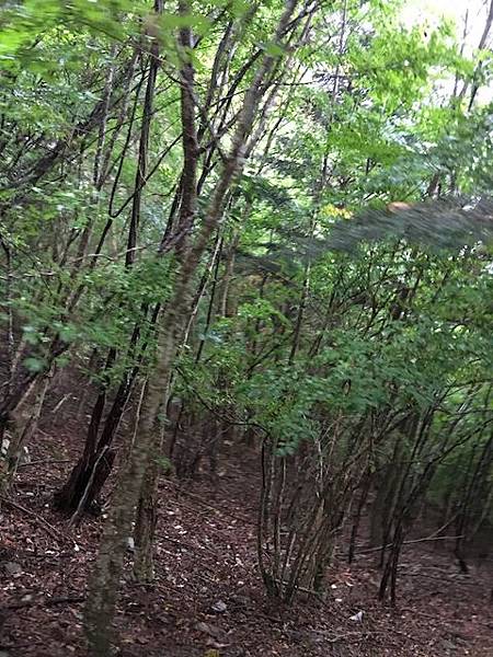 IMG_8220.jpg IMG_8220.jpg