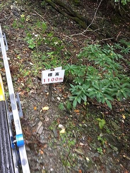 IMG_8222.jpg IMG_8222.jpg