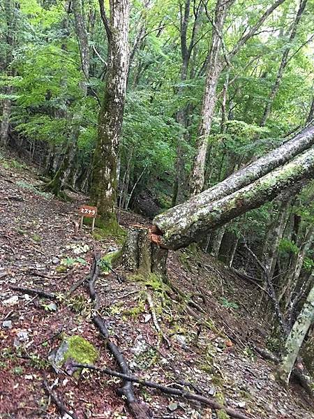 IMG_8227.jpg IMG_8227.jpg