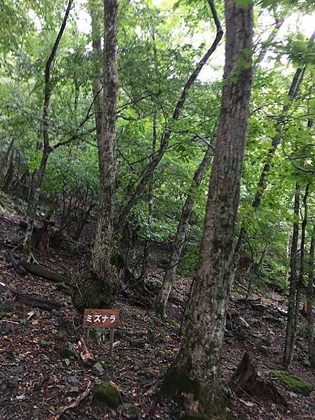 IMG_8225.jpg IMG_8225.jpg