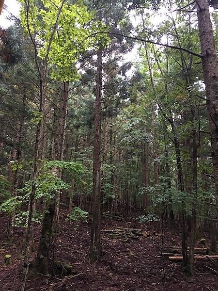 IMG_8236.jpg IMG_8236.jpg