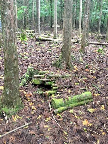 IMG_8234.jpg IMG_8234.jpg