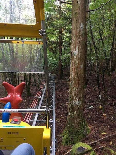 IMG_8238.jpg IMG_8238.jpg