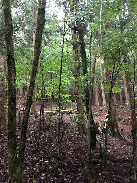 IMG_8243.jpg IMG_8243.jpg