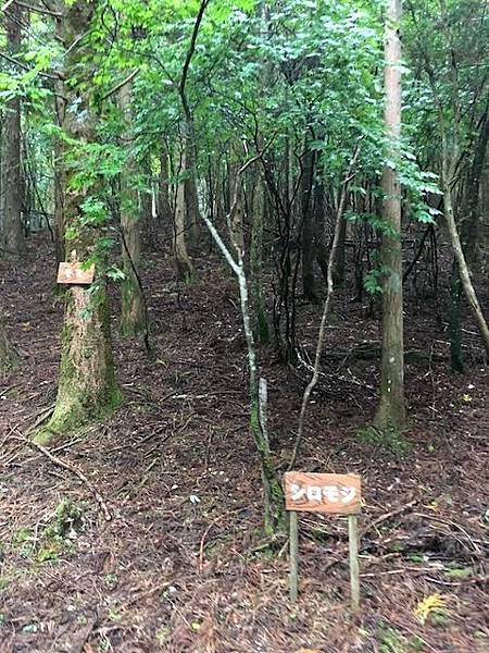 IMG_8244.jpg IMG_8244.jpg