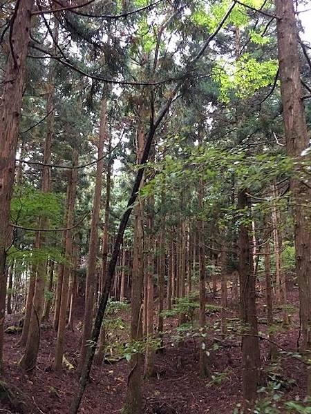 IMG_8248.jpg IMG_8248.jpg