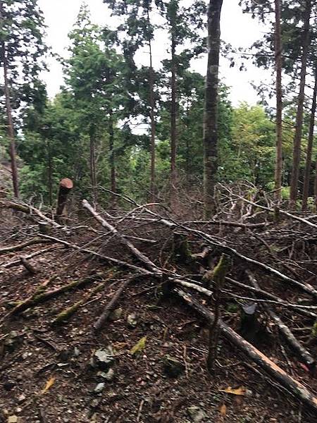 IMG_8251.jpg IMG_8251.jpg