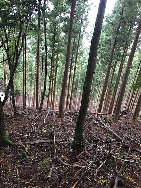 IMG_8271.jpg IMG_8271.jpg