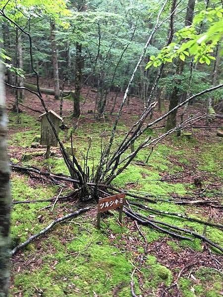 IMG_8275.jpg IMG_8275.jpg