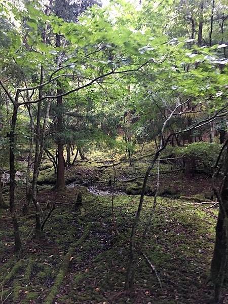 IMG_8274.jpg IMG_8274.jpg