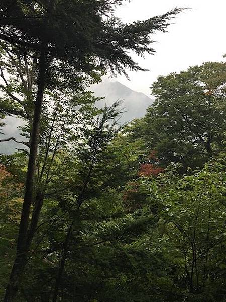 IMG_8293.jpg IMG_8293.jpg