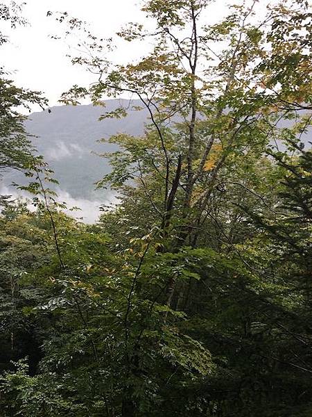 IMG_8295.jpg IMG_8295.jpg